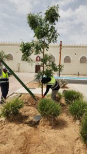 WhatsApp-Image-2026-04-16-at-10.40.19-AM-169x300 مشروع تطوير ساحات مسجد الميقات